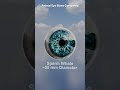 Animal Eye Sizes Compared 👀🐘 | Biggest Eyes in the Animal Kingdom