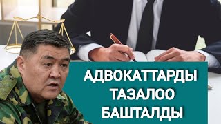 300 Жактоочу Лицензиясынан Айрылат. Эмнеге?