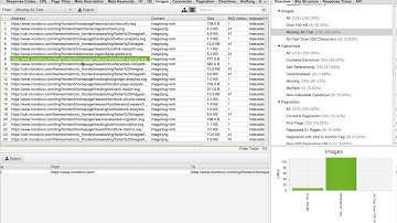 How to check if an image has an alt text?