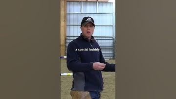 Horse Biting At The Leadrope