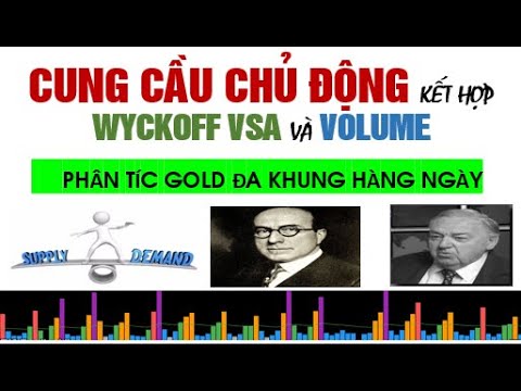 theo phương pháp Cung Cầu chủ động kết hợp Wyckoff Vsa và Volume