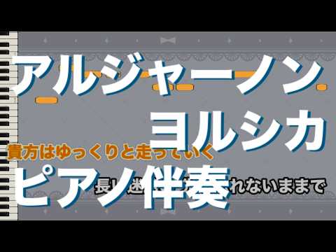 【ピアノ伴奏】アルジャーノン / ヨルシカ【カラオケ動画】
