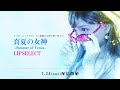 LIPSELECT / 真夏の女神 -Summer of Venus- (Official Lyric Video)