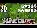 【⛏とことんマイクラ】巨木伐採場＋竹の自動農場 Ep.20【Ver.1.16】
