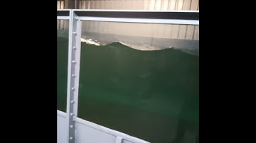 Wave tank 211213 - short, high frequency monochromatic waves