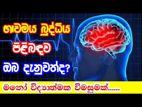 භාවමය බුද්ධිය යනු කුමක්ද? l මහාචාර්ය පියංජලී ද සොයිසා මහත්මිය l Emotional intelligence