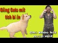 Bí Ẩn Sự Mất Tích Kỳ Lạ Của Giềng Cute | Tường Vy Vlog