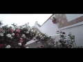 Making a rose arch from a piece bent tree branch Making a rose arch from a piece bent tree branch