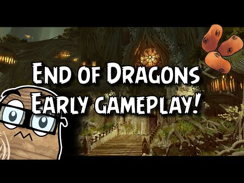 My Tour Of The Echovald & God&rsquo;s Vengeance! - Playing End of Dragons Early