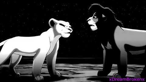 Animash || Ready or Not