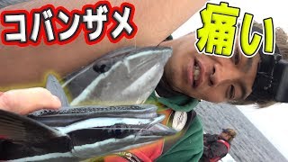 【サメ狙い】沖縄の一級磯にサメ狙いで釣りに行く！　~一級磯クイシで釣り前編~