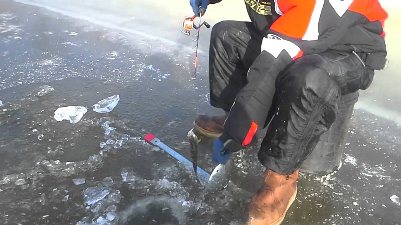 Big perch on saginaw bay 2013 YouTube