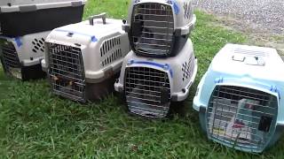 Spay Neuter and Return