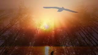 Missing   -   Vangelis Wealth