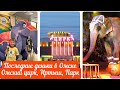 ВЛОГ.ПОСЛЕДНИЕ ДЕНЬКИ В ОМСКЕ.ОМСКИЙ ЦИРК, ИРТЫШ, ПАРК