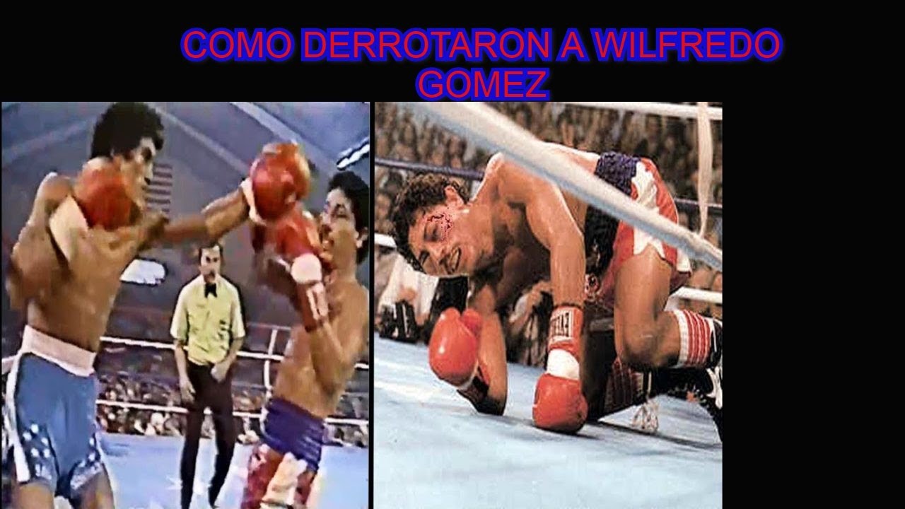 SALVADOR SANCHEZ VS WILFREDO GOMEZ PELEA COMPLETA YouTube
