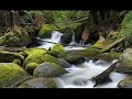 Cha3bi Za3ri أغاني شعبية من التراث المغربي mp3