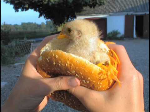 Bryan Kearney - Chicky Burger (Original Mix)