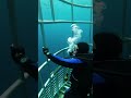 #DeepSea #Ocean #ScubaDiving #Underwater #Exploration #LostTreasures #Mystery 😍