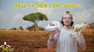 Ball python care guide !