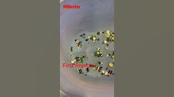 MBestec double layer belt color sorter #colorsorter #opticalsorter #recycledglass#wasteglass