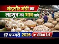 जाने लहसुन का भाव मंदसौर मंडी का | New Garlic Rate Mandsaur Mandi Today - 17 February 2026