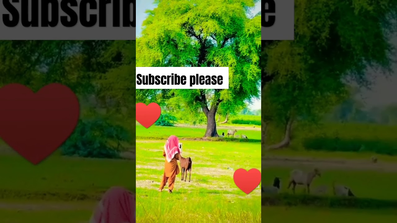 beautiful village short video Desi life style short video Desi kids short video Desi culture short v
