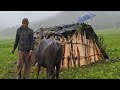 Best Life in A Himalayan Shepherd’s During The Rainy Day  Most Relaxing | Village Documentary Video 