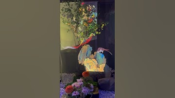 Thumbnail of What’s new in the national palace museum?
