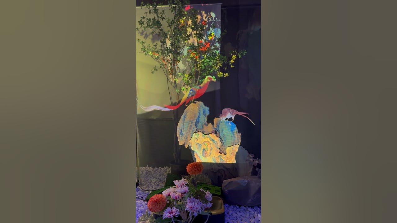 What’s new in the national palace museum?