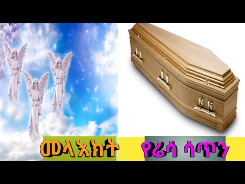 ቪዲዮ: የሬሳ ፍቺ ምንድን ነው?