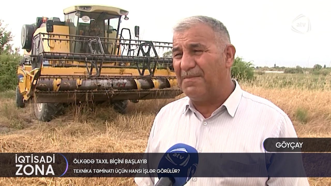 Taxıl biçini başlayıb