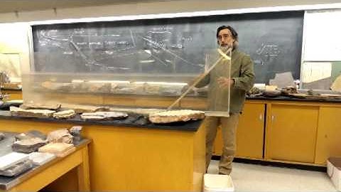 Turbidity Current Demo