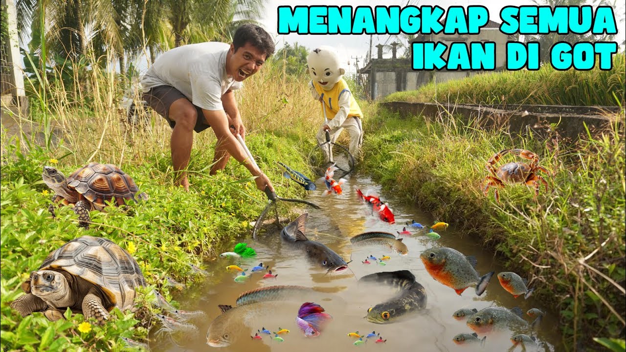 KITA MENANGKAP SEMUA JENIS IKAN YANG ADA DI GOT DEPAN RUMAH?!