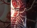 Muscular Tissues 💪 #biology #ytshorts #viral #science #neet