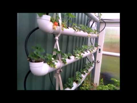 4-Tier Strawberry planter using storm waterpipe Part 2