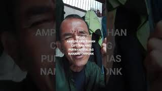 Download Lagu siapa yg minat beli licensy lagu ini hub saya di  087767342185 okey MP3