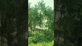 Jungle main aj mangal #shorts #viral #reels #ytshorts