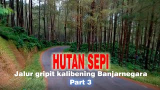 MENYERAMKAN JALAN  HUTAN SANGAT SEPI DAN DINGIN #jalur gripit kalibening banjarnegara part 3