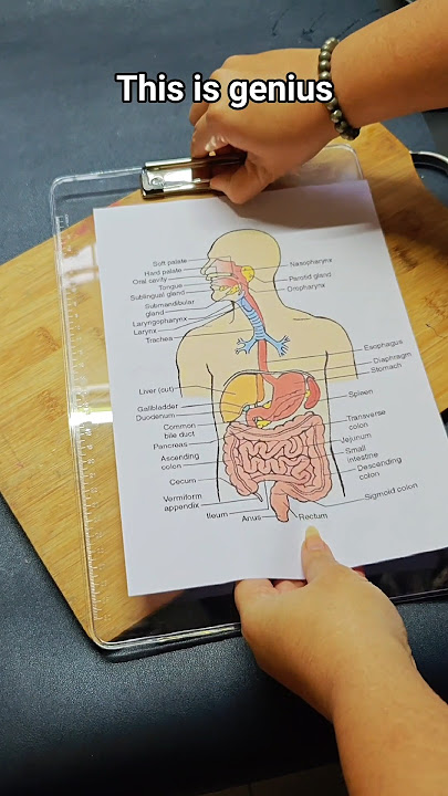 'Try this useful tips for college project'😱🤯😍#ideas #tipsandtricks #shorts