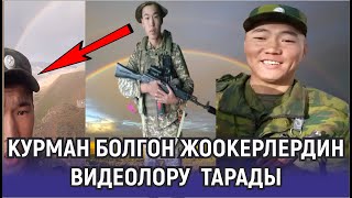 КУРМАН БОЛГОН ЖООКЕРЛЕРДИН ЖҮРӨКТҮ ЫЙЛАТКАН ВИДЕОЛОРУ ТАРАДЫ