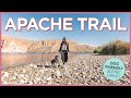 Things To Do on the Apache Trail with your Dogs in Arizona