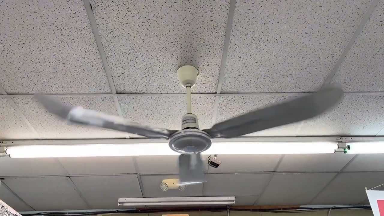 Banvil/Envirofan SilverLine Industrial Ceiling Fan 56” At A