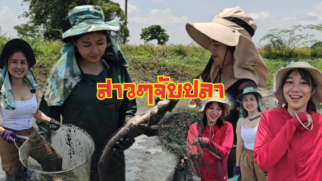 วิดน้ำ จับปลา