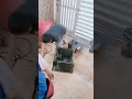 Aircon Cleaning Window type at Bajada Davao City #airconditioner #technicianjob #vlog