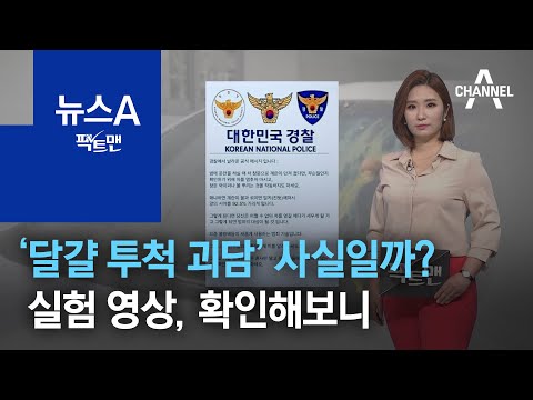 [팩트맨]‘달걀 투척 괴담’ 사실일까?…실험 영상, 확인해보니 | 뉴스A