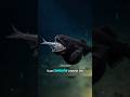 THE FISH THAT EATS IMPOSSIBLE MEALS #wildlife #discovery #deepsea