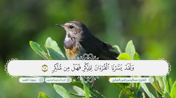 سورة القمر بصوت القارئ عبدالرحمن امين الجباري