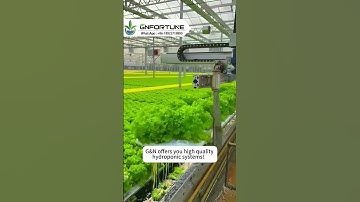G&N offers you high-quality hydroponic systems!