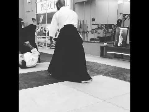 Aikido at Valley Aikido in Arizona